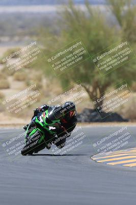 media/May-14-2023-SoCal Trackdays (Sun) [[024eb53b40]]/Turn 5 Tree of Life (1125am)/